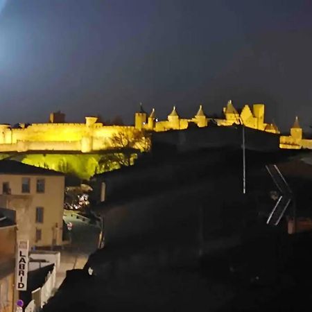 Face Au Canal Du Midi Каркассонн Екстер'єр фото